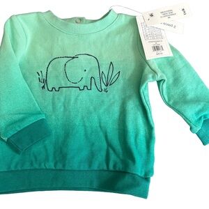 Kids Ombre Green Elephant Sweatshirt 3 Months